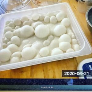 Slow Rise Pizza - Advanced Class