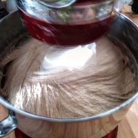 Slow Rise Pizza Advanced Dough Slow Rise Pizza - Intensive Mix